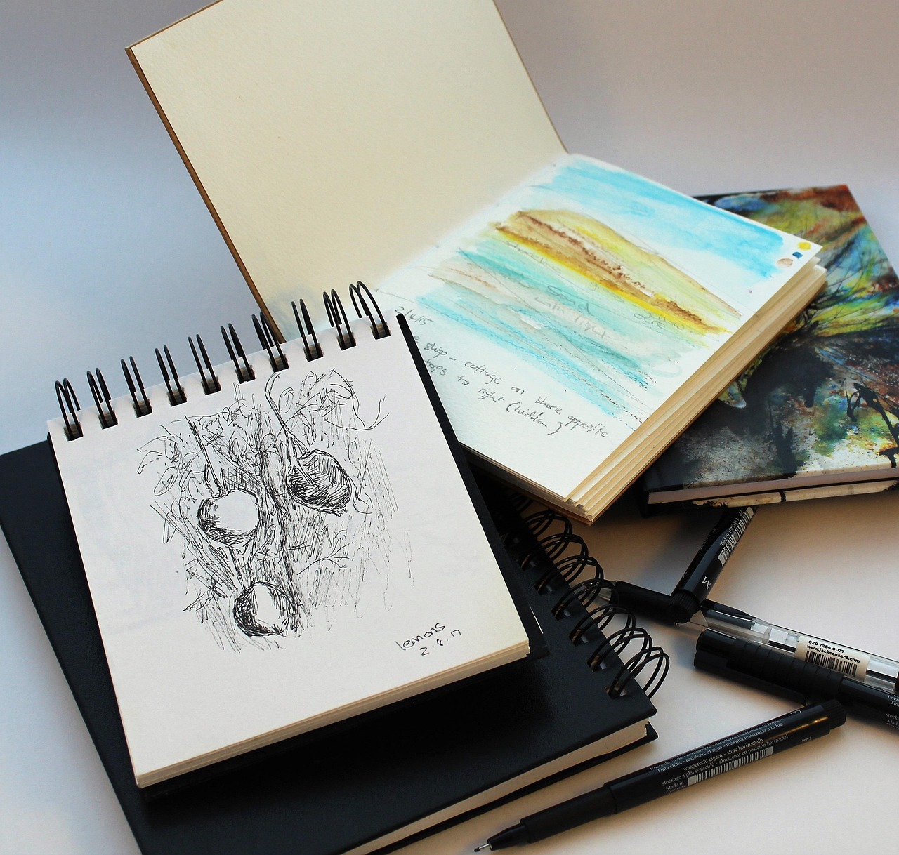 Workshop: Sketching in Nature