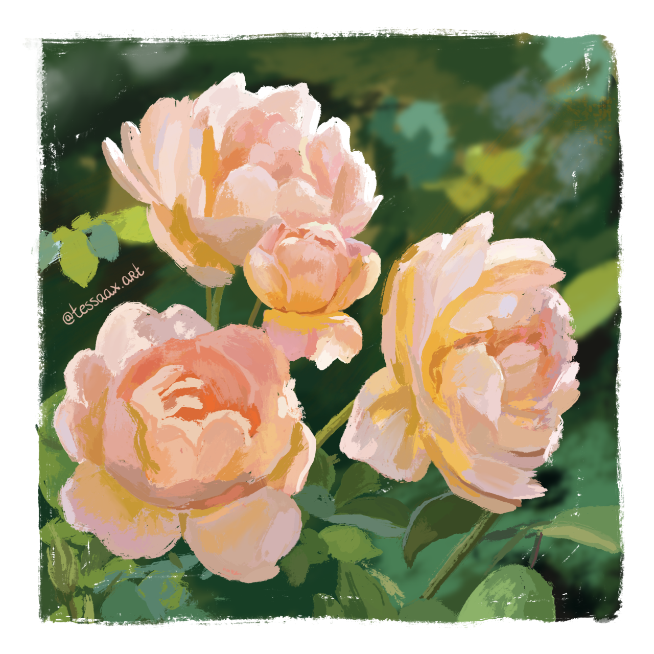 20240615 Three Simpel Roses 1280x1280